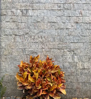 Detalhe da textura da Pedra Miracema